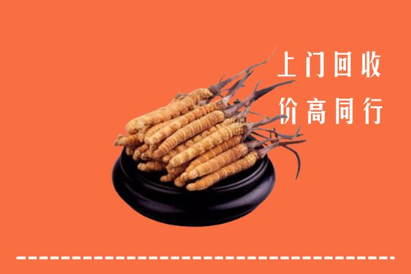 高价求购：襄樊回收散虫草